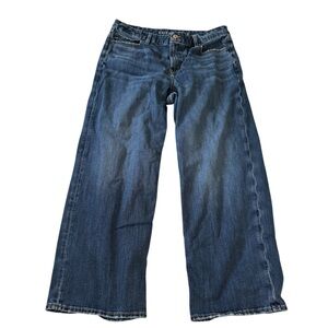 AE Stretch Curvy High Waist Stovepipe Jean